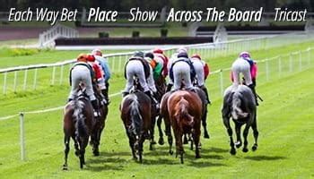 types of exotic horse racing bets|Exotic bet types on the Tote explained .
